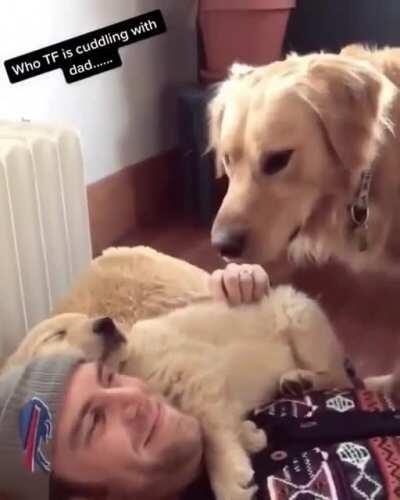 The look of betrayal is enough to make a full grown man cry