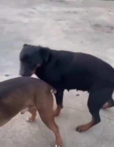 Engaging in a little roleplay 