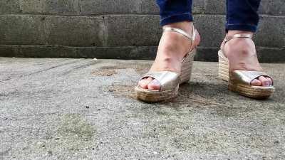 Gold wedges Walkover and crush snails 