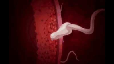 I love when they beg for it.