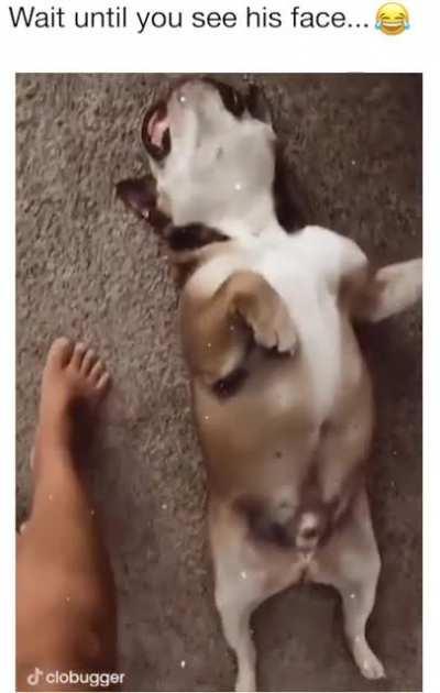 “Derp-o-meter has broken with overuse”