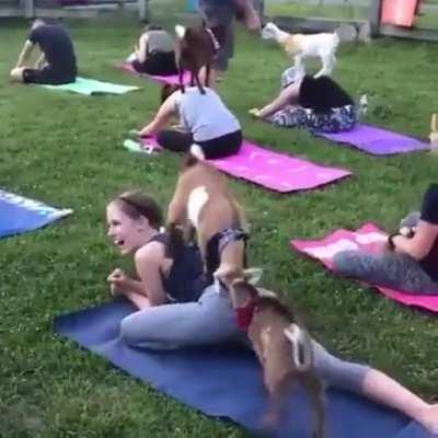 Нашли место