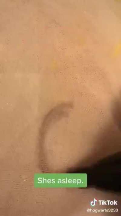 Salty girl LITERALLY RUINS HER FRIEND’S WEDDING DRESS because she’s petty. Also the comments are all like “you go queen that’s karma”