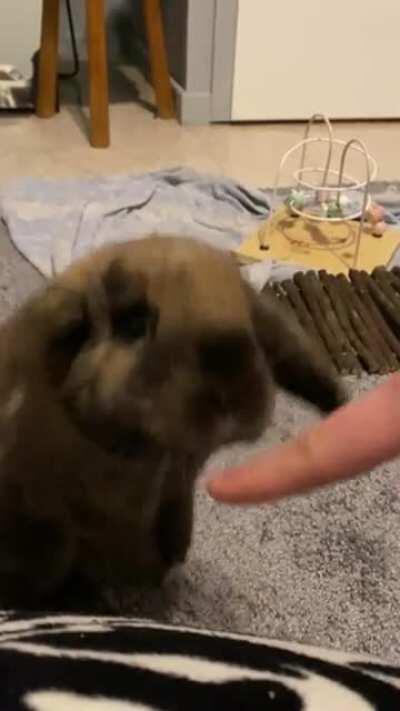 Round and around we go