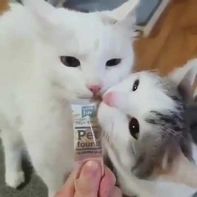 Тhаt’s оnе wау tо gеt а turn. . .