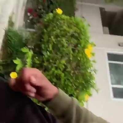 Hoovers violate Raymond Avenue Crip member.