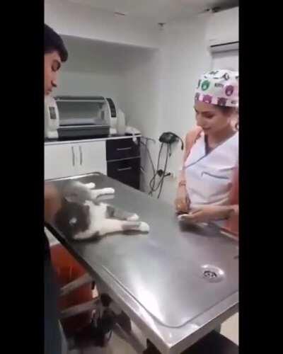 This is just a petting house. No?