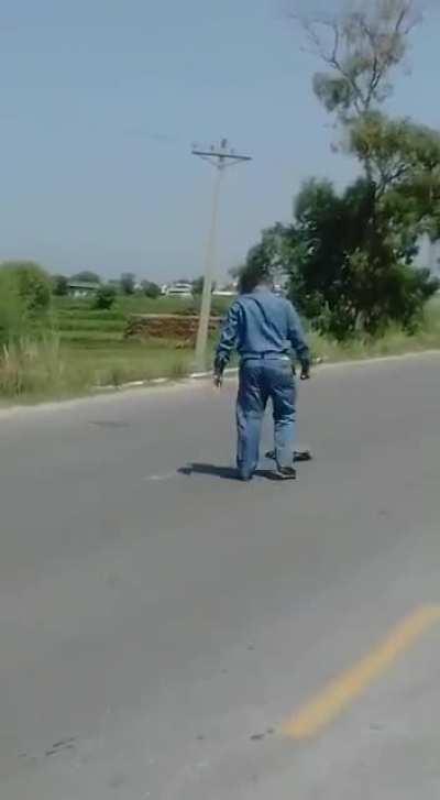 Traffic warden helping a tortoise Turtle to cross the road, Rawalpindi Pakistan
