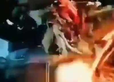 rodentintercourse - Video #5441