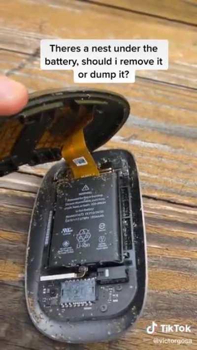 Видели как электроны внутри техники бегают?