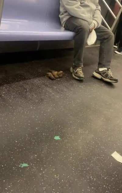 Wow all those vacant seats