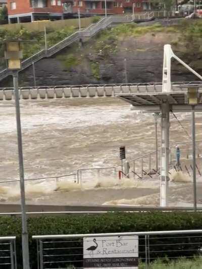 Parramatta River Ferry Dock - 4.45PM