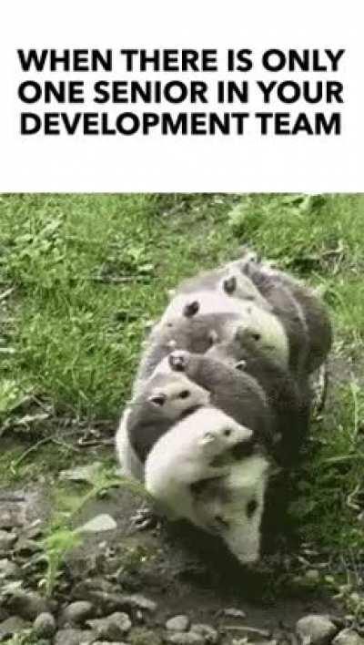 When there is a lack of technical professionals with necessary skills 😅