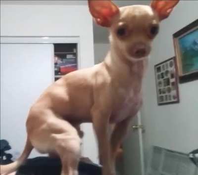 That is me that he is standing on