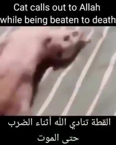 Gato chama por Allah enquanto é espancado até a morte