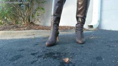 crush in boots fishes