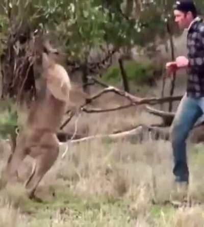 He was ready to square up 😂🤣😭