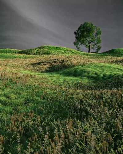 Grassy Hills Long Exposure Loop [A]