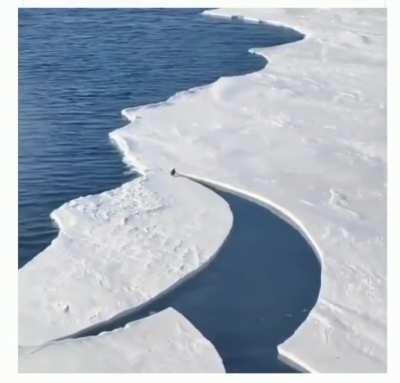 Had me a bit nervous