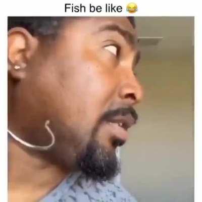 🐟🐟