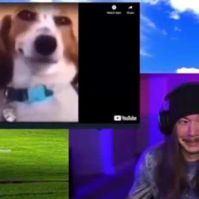 Doing yo mom to the mold