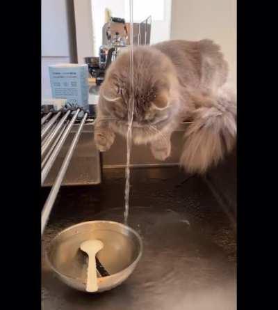 saw this on instagram. thought it belongs to this sub. from @quinn_mar.30