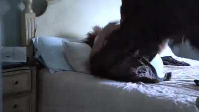 Waking up this morning like...