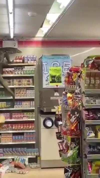 Cenas de uma pessoa que tomou a vacina da Covid-19, virou jacaré e foi ao mercado fazer compras.