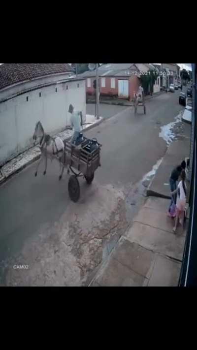 Romanian road incident ð¢