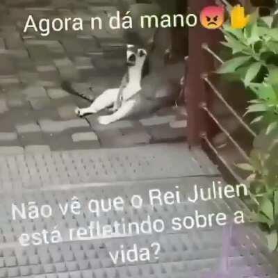 Oq será que ele está pensando?🤔