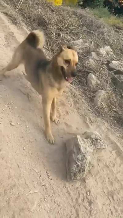 Fog playing with rock