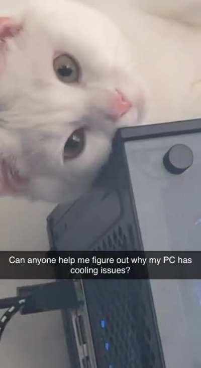 Any advice appreciated!