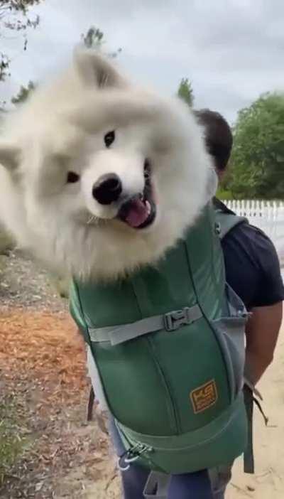 A tale about a lazy traveler...