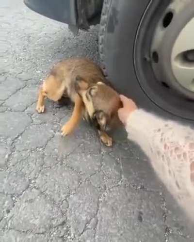 This is what early stages of trauma healing looks like