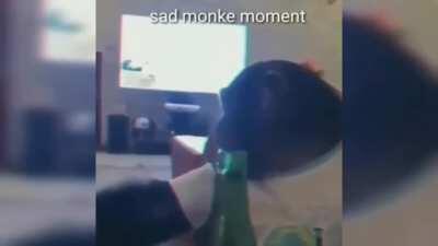 Estou sad monki hoje guys
