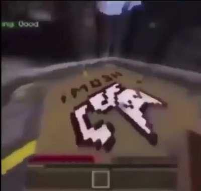 Blursed_Minecraft cat