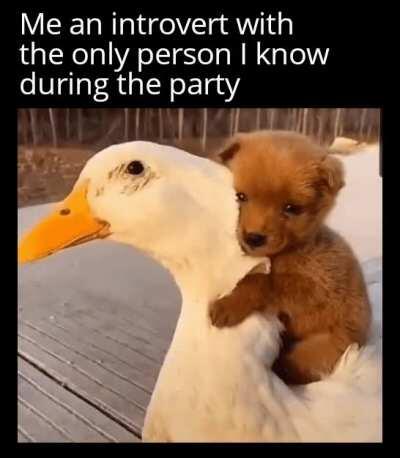 Got you homie (took from r/wholesomegifs)