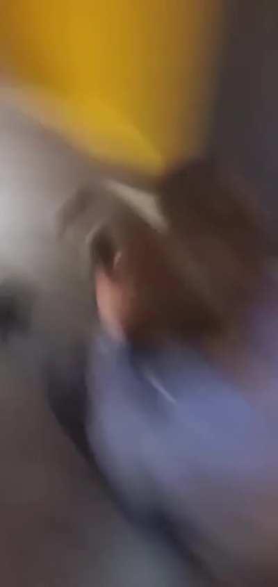 Just dropped from the dorm conv