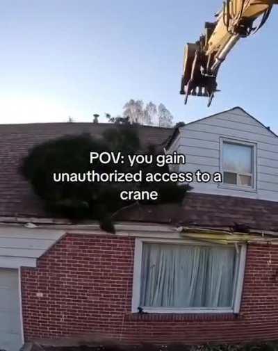 Silly crane 😛😛😛