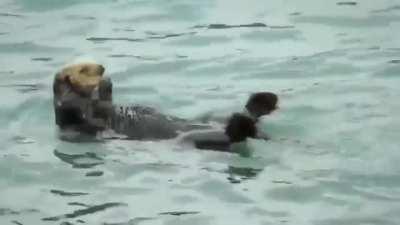 Et un... deux.. trois et quatre...