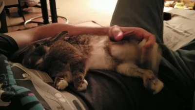 Sometimes I think she sleeps a little too heavily