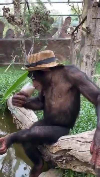 Come, join me- together we’ll drink…