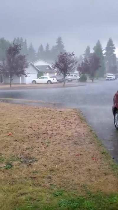 After almost a month without rain, and the Oregon wildfires just south of us, this is a welcome sight (Longview, WA)
