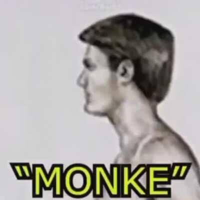 Monke Moment