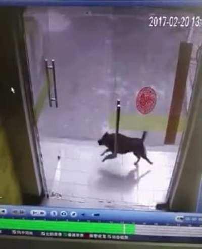 What security cameras are for.