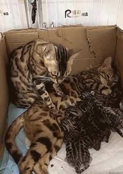 Let's squeeze a few more drops out...