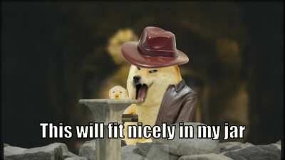 Le indiana doge has arrived