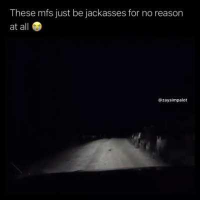 Meanwhile in Australia…….