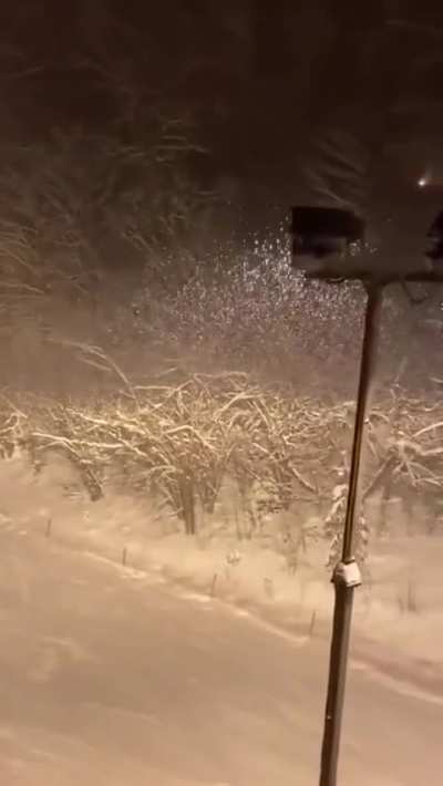 I want to go skiing after I saw this 