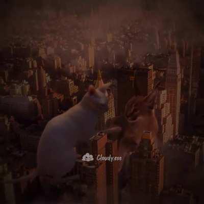 No wae!!!!!! Flopa V. Bings!!!!????🥶